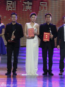 電視制片業(yè)十佳頒獎盛典 李晨馬蘇佟麗婭榮膺大獎